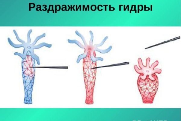 Omg маркетплейс
